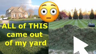 How to Dethatch a Lawn a Different Way [upl. by Lledualc659]