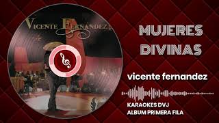 KARAOKE MUJERES DIVINAS VICENTE FERNANDEZ [upl. by Nirad476]