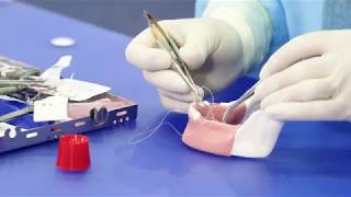 Placing OSSIX® Plus resorbable membrane Part 2  Suturing [upl. by Aerdnaeel]