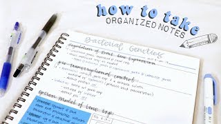 how to take organized notes amp study effectively  christylynn [upl. by Omik88]