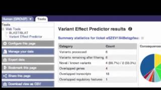 Analyse your Sequence Variants with the VEP Web Interface [upl. by Adria]