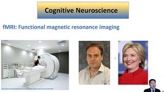 Cognitive Neuroscience [upl. by Cini570]