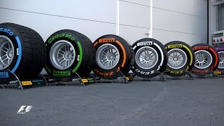 F1 Explained Beginners Guide To Tyres [upl. by Dale]