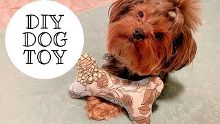 DIY Dog Toy [upl. by Macguiness737]