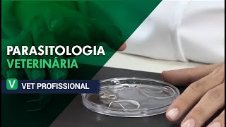 Parasitologia Veterinária I VET Profissional [upl. by Ahsin604]