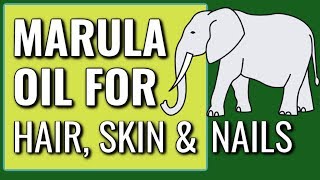 MARULA OIL FOR HAIR SKIN AND NAILS DR DRAY [upl. by Wappes]