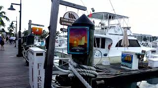 Key West LIVE from Schooner Wharf [upl. by Elad]