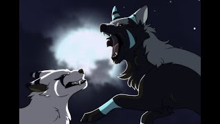 Serious wolf fight animation [upl. by Ettenan]