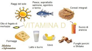 Vitamina D in quali alimenti si trova quando è importante integrarla [upl. by Almeida93]