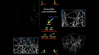 Spider web sonification Less busy music sonification of the porous web along zaxis [upl. by Yeldud]