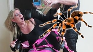 TERRIFYING TARANTULA PRANK [upl. by Jeu740]