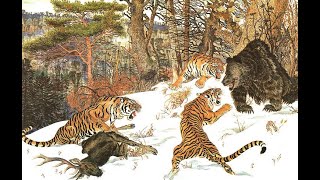 Ussuri brown bear vs Siberian tiger interaction analysis [upl. by Ateekal136]