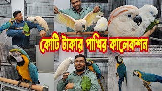 Bird Zooming পাবেন কাকাতুয়া পাখি  Macaw bird  African grey parrots parrot [upl. by Angle]