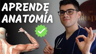 ¿Cómo Estudiar Anatomía Sin Morir en el Intento [upl. by Nattirb891]