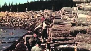 1950s Sawmill Workers Educational Documentary  Timber In The Northeast  CharlieDeanArchives [upl. by Mosira]