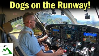 HOW I BECAME A BUSH PILOT in Papua New Guinea [upl. by Kraus859]