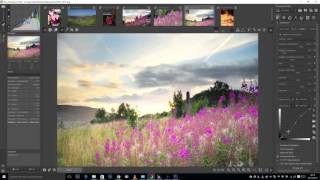 Basic Editing in Raw Therapee [upl. by Marston]