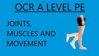 OCR A Level PE  Joints Muscles and Movements [upl. by Aicenet]