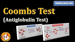 Immunoglobulins Structure and Function Antibody Structure Types and Function [upl. by Flory]