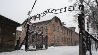 AUSCHWITZ  BIRKENAU quotla follia umanaquot POLONIA nazi camp in Oświęcim  HD [upl. by Aminta]