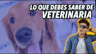 COMO ES ESTUDIAR VETERINARIA [upl. by Naesad]