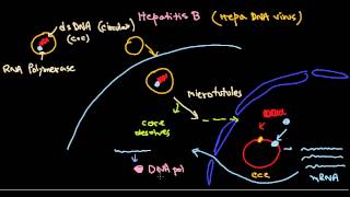 HBsAg Blood Test in Hindi [upl. by Alexio]