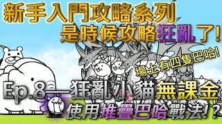 貓咪大戰爭 新手向攻略Ep8—狂亂小貓—★☆無課金攻略☆★ [upl. by Noryt]