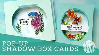 PopUp Shadow Box Cards [upl. by Oahc]