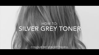 How to get a Perfect Silver Grey Toner using Fanola [upl. by Angadresma966]