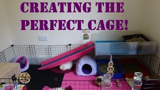 Your Guinea Pigs Home 5 Top Tips for the Perfect Cage [upl. by Akira]