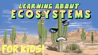 Learning About Ecosystems [upl. by Ahsikam583]