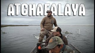 Duck Hunting The Atchafalaya River Louisiana [upl. by Bendix]