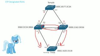 STP Designated ports [upl. by Horner]