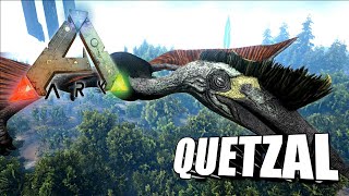 Taming A Quetzal  Ark Survival Evolved  The Island [upl. by Mclyman]