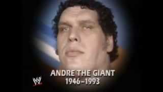 WWF  02011993  Raw  Andre the Giant  Tribute [upl. by Enitsirt]