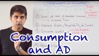 Y1 5 Consumer Spending and Aggregate Demand [upl. by Annauqahs]