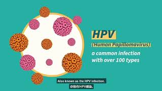 Cervical Cancer Screening Pap test  HPV test [upl. by Drofnats]