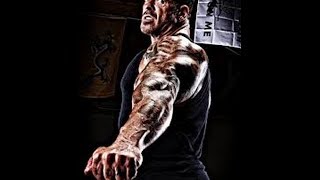 HOW TO BUILD BIG ARMS  Rich Piana [upl. by Miles]