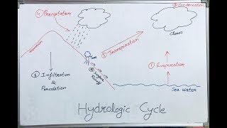 Hydrological Cycle Hindi Lecture I Water Cycle [upl. by Aleacim887]