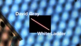 David Gray  Nightblindness Official Audio [upl. by Aicre]