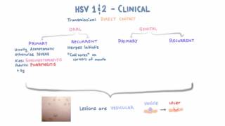 HSV  Clinical Presentation  Part 1 [upl. by Graner]