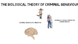 GCSE Psychology Criminal behaviour Biological theory [upl. by Bronson]