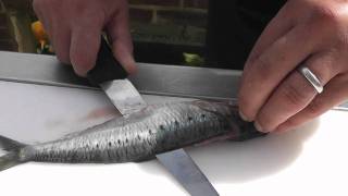 Passionate About Fish  How to prepare Sardines [upl. by Adniles262]