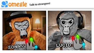 OMEGLE Trolling in Gorilla Tag [upl. by Llerud]