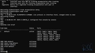 Configuring Cisco Trunk Ports [upl. by Elliot]