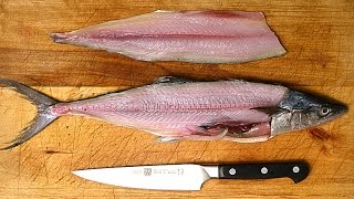 How to Fillet a Fish [upl. by Florio88]