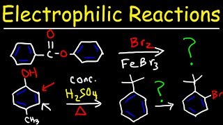 Electrophilic Aromatic Substitution Reactions Made Easy [upl. by Aihseuqram]