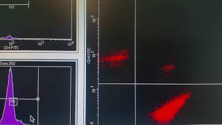 Basics of Flow Cytometry [upl. by Ron919]