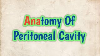 Anatomy of Peritoneal Cavity [upl. by Ardnaeed983]