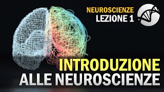 Introduzione alle Neuroscienze  NEUROSCIENZE  Lezione 1 [upl. by Boru853]